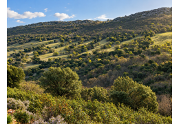 Qué hacer en los Montes de Toledo durante un fin de semana